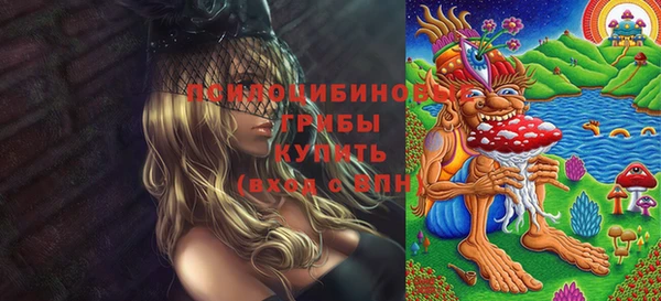 марки nbome Горняк