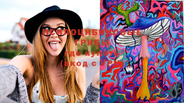 марки nbome Горняк