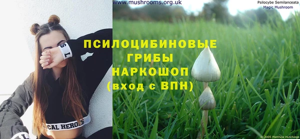 тгк Горно-Алтайск