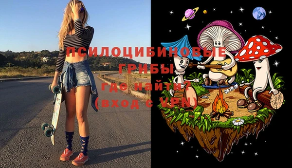тгк Горно-Алтайск