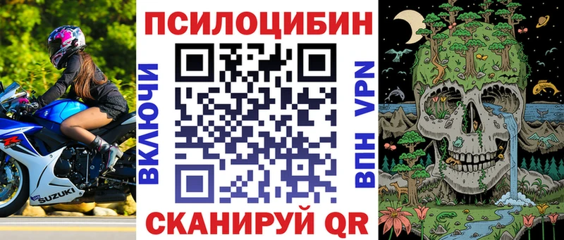 Купить где  Томилино  Галлюциногенные грибы мицелий 